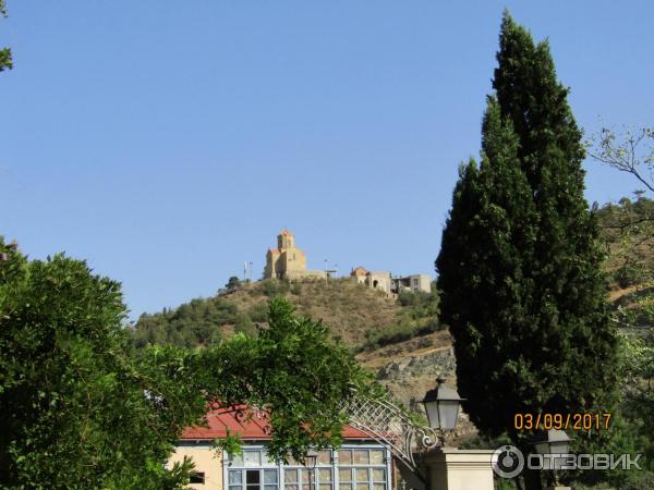 Ботанический сад (Грузия, Тбилиси) фото