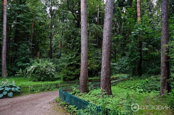 Историко-культурный заповедник Переделкино (Россия, Московская область) фото