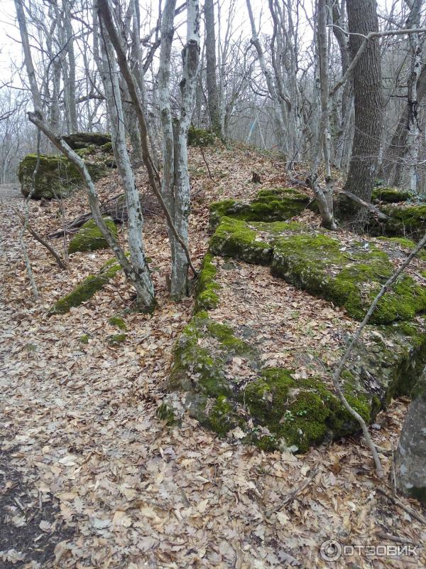 Топловский Свято-Троице-Параскевиевский женский монастырь (Крым) фото