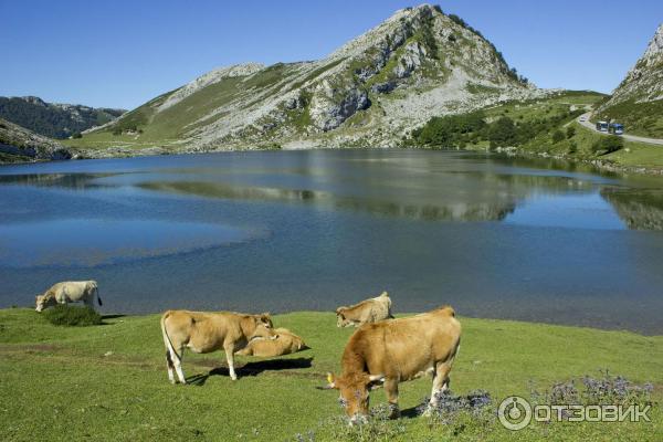 Достопримечательности Ковадонги (Испания, Астурия) фото