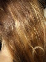 Масло для волос Matrix Biolage Exquisite Oil фото