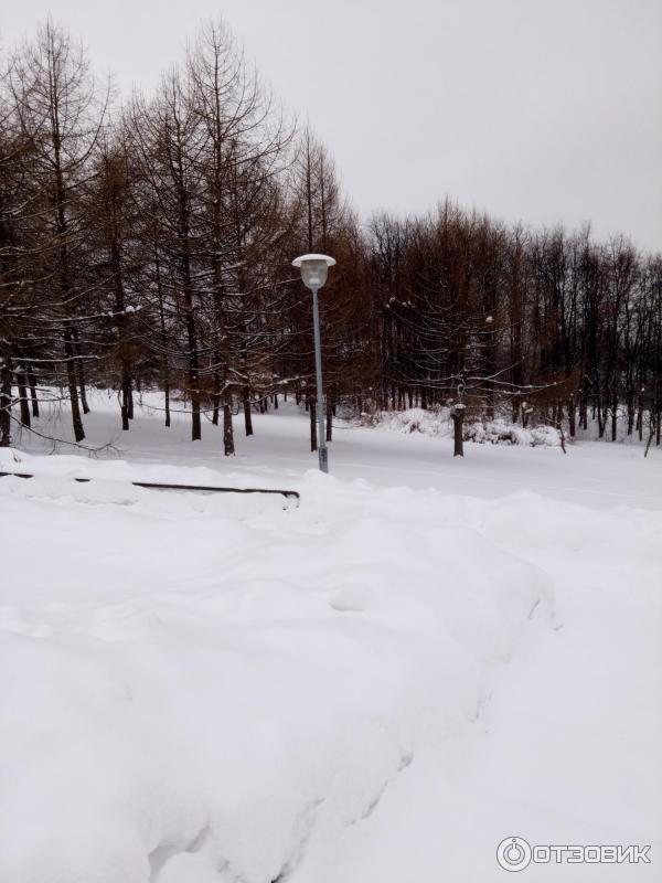 Зона отдыха Борисовские пруды (Россия, Москва) фото