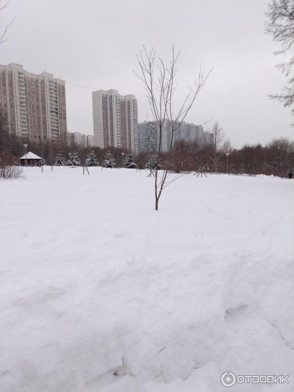 Зона отдыха Борисовские пруды (Россия, Москва) фото