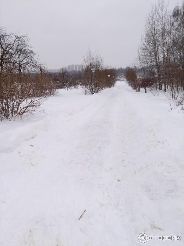 Зона отдыха Борисовские пруды (Россия, Москва) фото