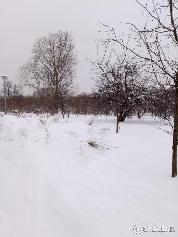 Зона отдыха Борисовские пруды (Россия, Москва) фото