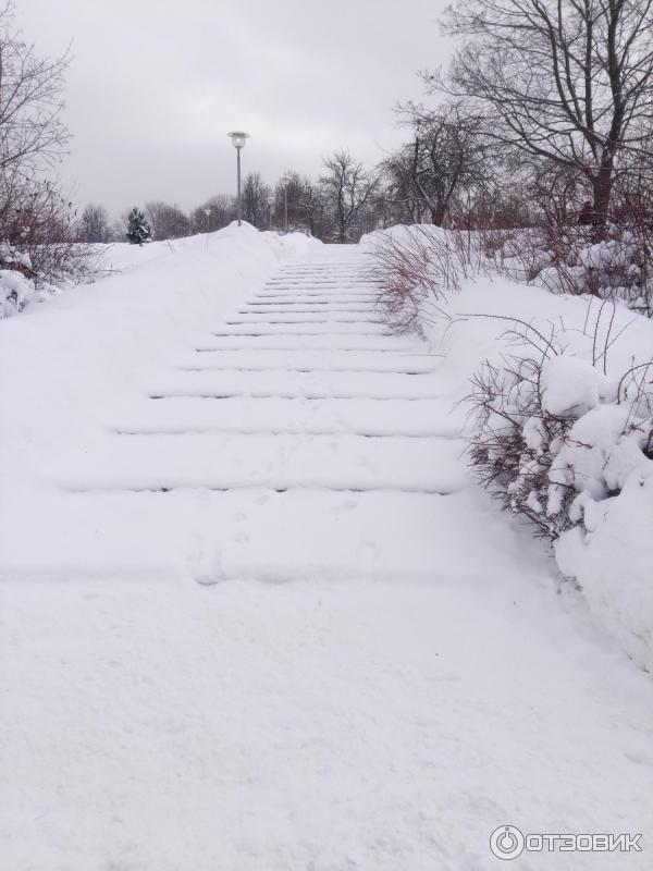 Зона отдыха Борисовские пруды (Россия, Москва) фото