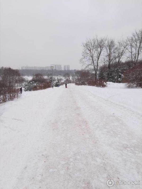 Зона отдыха Борисовские пруды (Россия, Москва) фото