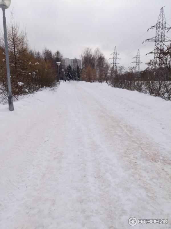 Зона отдыха Борисовские пруды (Россия, Москва) фото