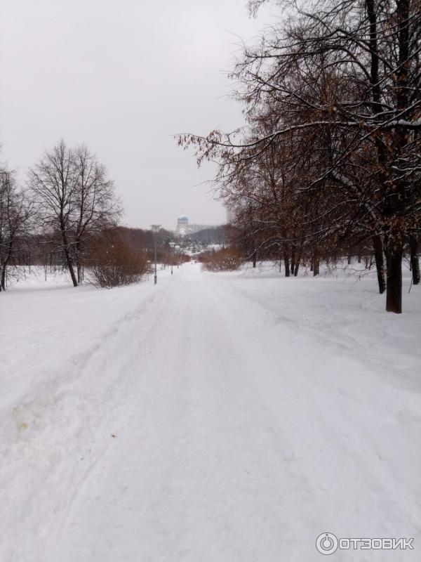 Зона отдыха Борисовские пруды (Россия, Москва) фото
