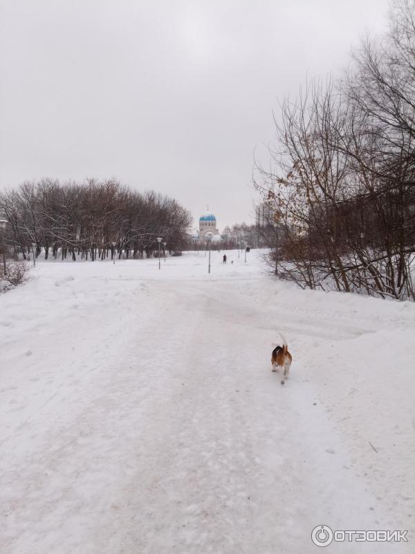 Зона отдыха Борисовские пруды (Россия, Москва) фото