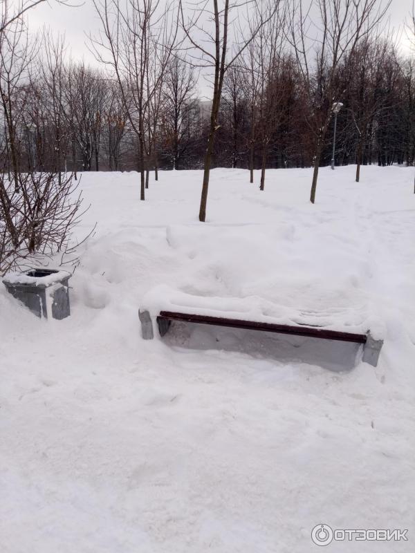 Зона отдыха Борисовские пруды (Россия, Москва) фото