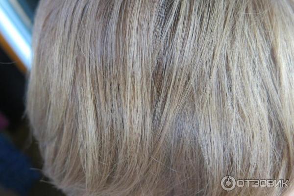 Краска для волос Schwarzkopf Color Expert OmegaPlex фото