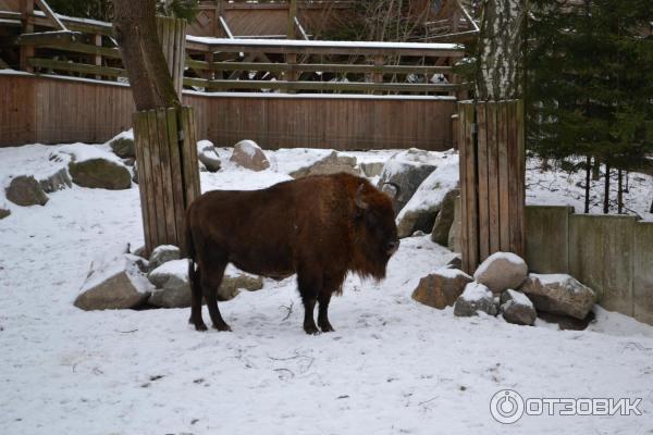 Музей Skansen (Швеция, Стокгольм) фото