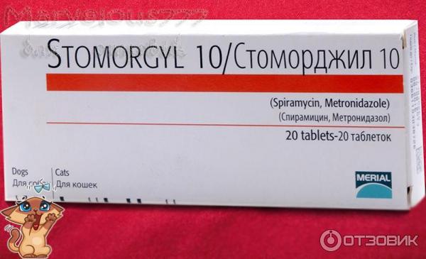 Стоморджил для кошек