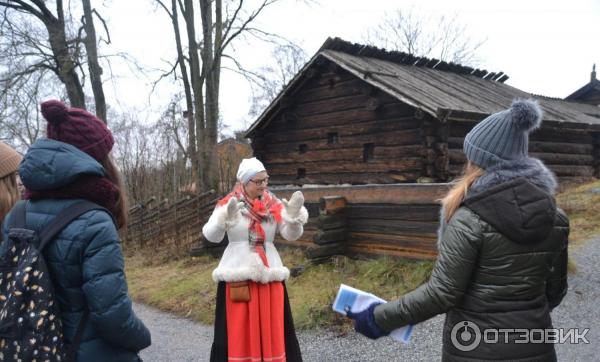 Музей Skansen (Швеция, Стокгольм) фото