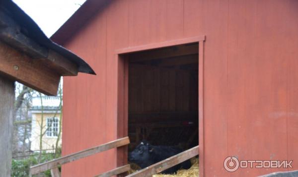 Музей Skansen (Швеция, Стокгольм) фото