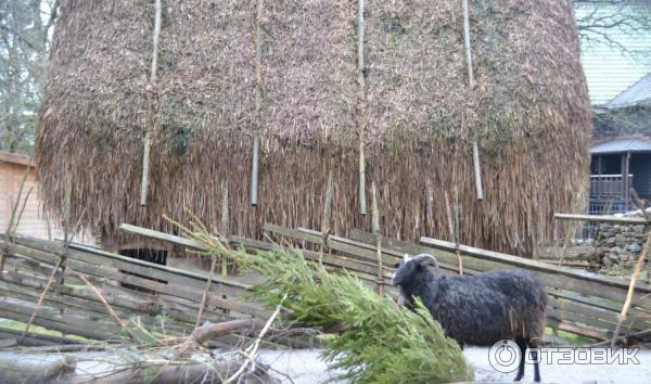 Музей Skansen (Швеция, Стокгольм) фото