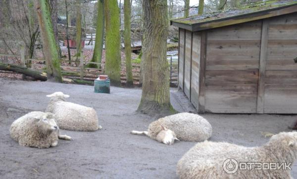 Музей Skansen (Швеция, Стокгольм) фото