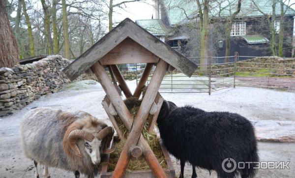 Музей Skansen (Швеция, Стокгольм) фото