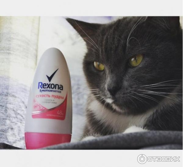 Антиперспирант Rexona Сухость пудры фото