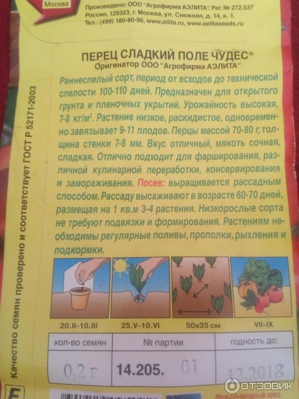 Цинтол. Перец поле чудес. Перец поле чудес описание сорта фото отзывы. Перец поле чудес характеристика и описание сорта фото и отзывы. Перец в поле.