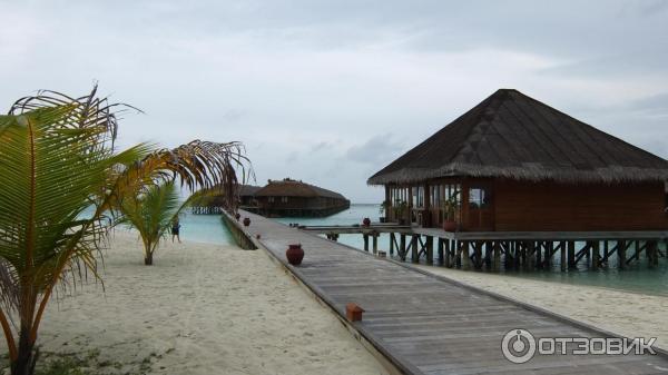 Отель Meeru Island Resort & Spa 4* (Мальдивы) фото