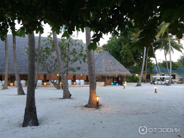 Отель Meeru Island Resort & Spa 4* (Мальдивы) фото