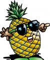 Ananas18