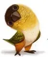 babush2729