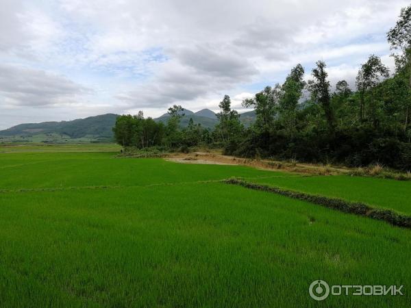 Буддийский храм Chua Suoi Do (Вьятнам, Нячанг) фото