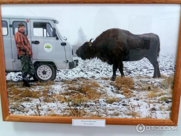 Национальный парк Орловское полесье (Россия, Орел) фото