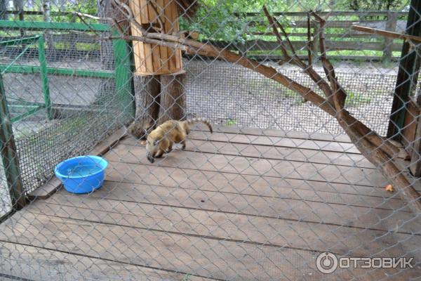 Национальный парк Орловское полесье (Россия, Орел) фото