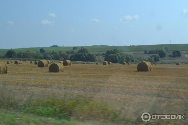 Национальный парк Орловское полесье (Россия, Орел) фото