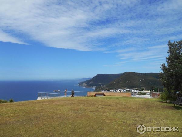 Смотровая площадка Bald Hill (Австралия, Новый Южный Уэльс) фото