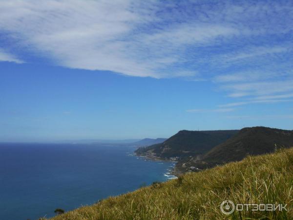 Смотровая площадка Bald Hill (Австралия, Новый Южный Уэльс) фото