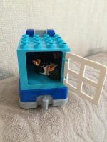 Конструктор Lego Duplo "Полицейский патруль" фото