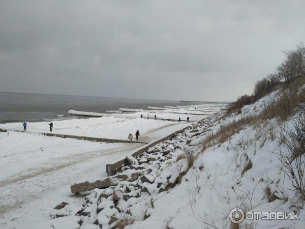 Отдых в Зеленоградске (Россия) фото