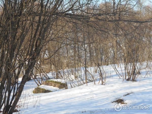 Государственный Лермонтовский музей-заповедник Тарханы (Россия, Лермонтово) фото