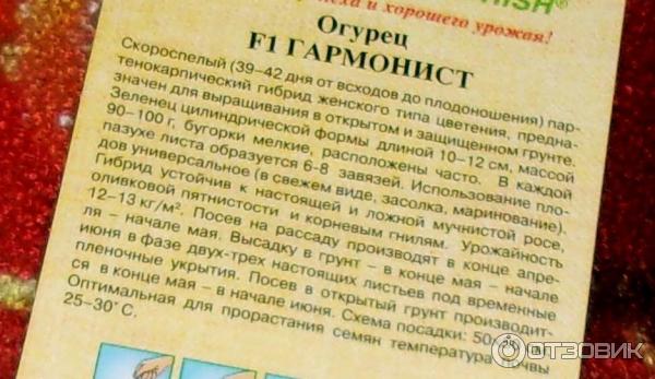 Огурец гармонист отзывы фото