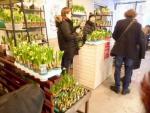 Выставка "Репетиция весны" в Ботаническом саду МГУ "Аптекарский огород" (Россия, Москва) фото