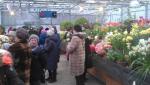 Выставка "Репетиция весны" в Ботаническом саду МГУ "Аптекарский огород" (Россия, Москва) фото