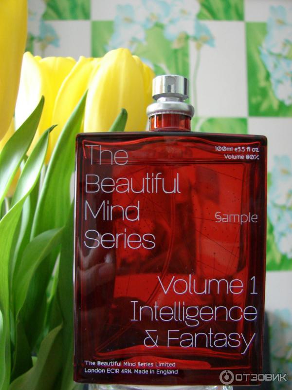 The Beautiful Mind Series Intelligence Fantasy