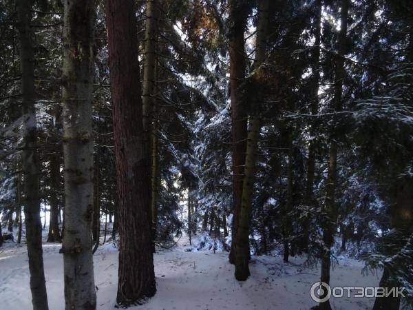 Экскурсия по г. Бакуриани (Грузия, Самцхе-Джавахетия) фото