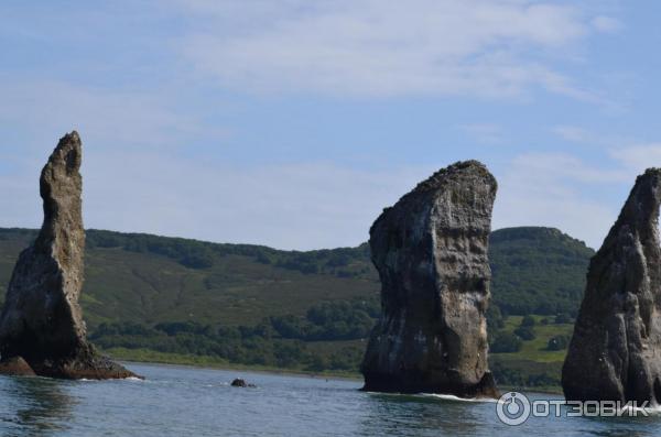 Морская прогулка по Авачинской бухте (Россия, Камчатка) фото