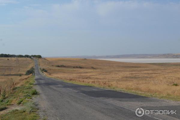 Отдых с палатками на берегу Керченского пролива (Россия, Крым) фото