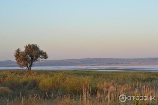 Отдых с палатками на берегу Керченского пролива (Россия, Крым) фото