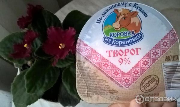 Творог Коровка из Кореновки По-домашнему с Кубани 9% фото