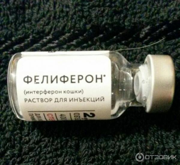 Фелиферон для кошек цена