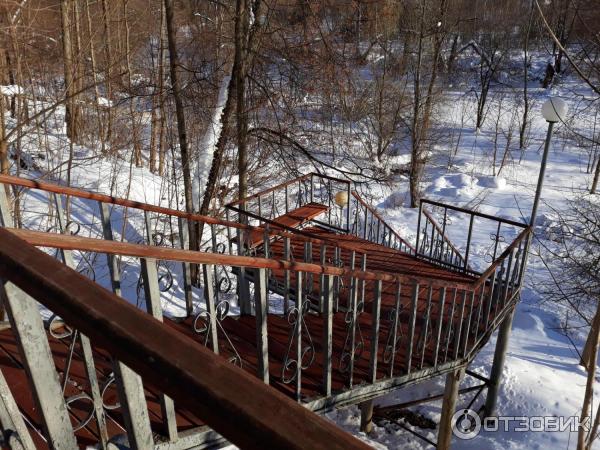 Спуск к роднику