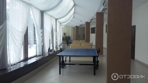 Настольный теннис